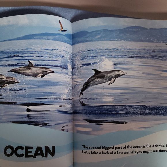 National Geopgraphic Kids - Little Kids First Big Book of the Ocean - Picture 3 of 4